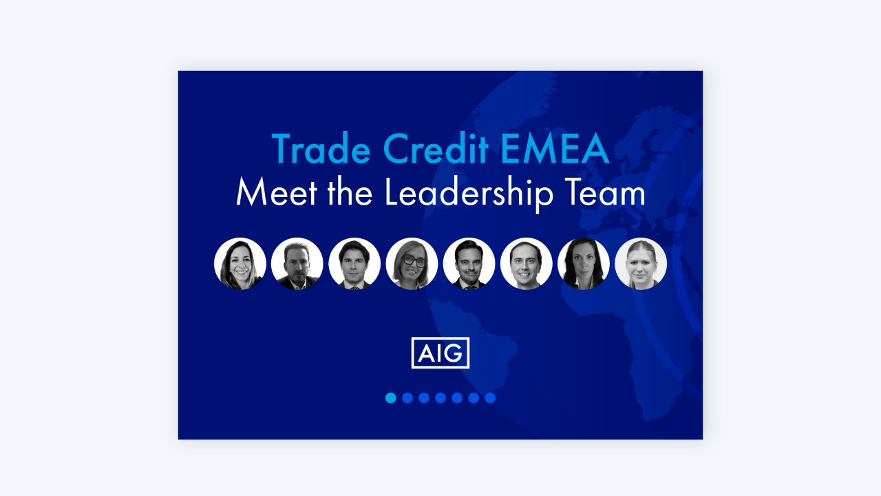 AIG EMEA Trade Credit
