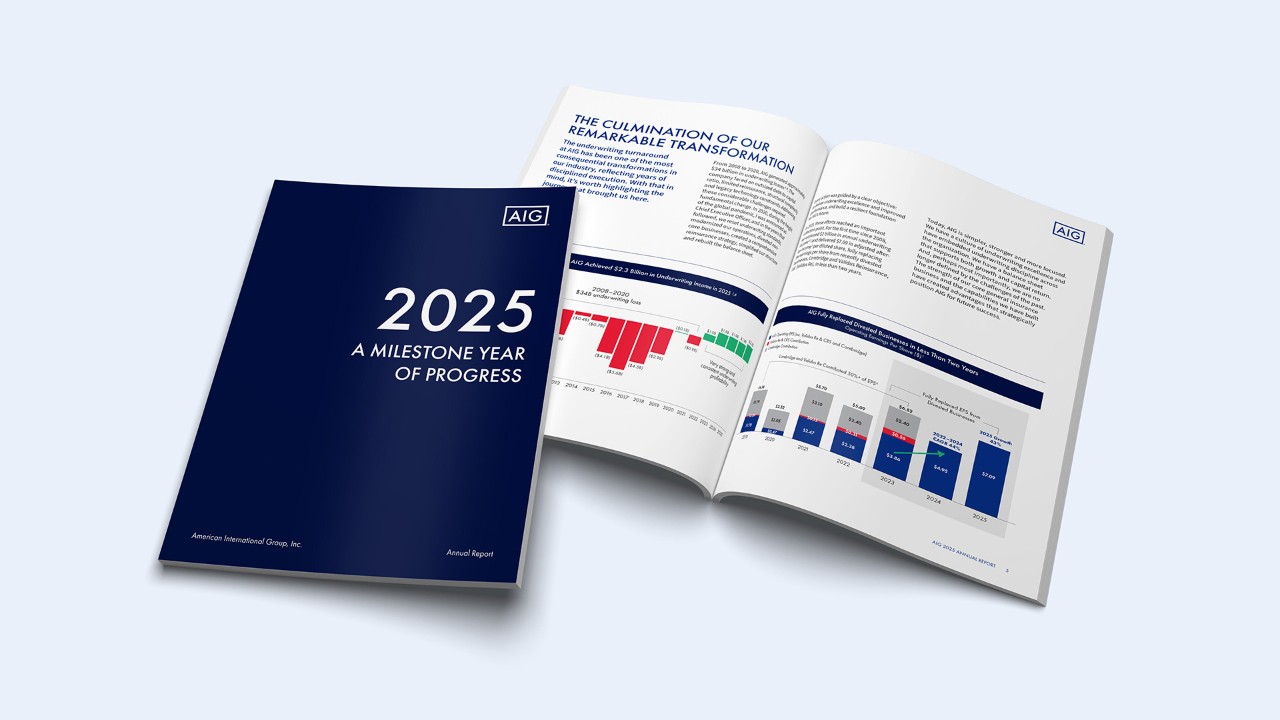 AIG Geschäftsbericht